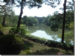 DSCF1080