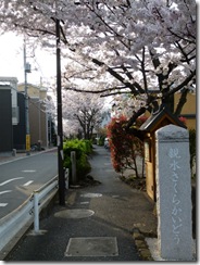P1000557