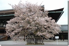 IMG_1801